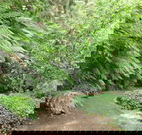 Pirianda Gardens - Sunshine Coast Guide