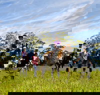 Port Macquarie Horse Riding Centre - Sunshine Coast Guide