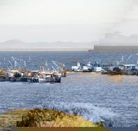 Portarlington - Sunshine Coast Guide