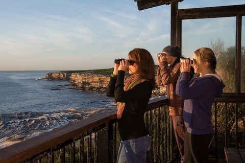 Sutherland Shire - Sunshine Coast Guide 0