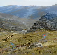 Thredbo Mountain Biking - Sunshine Coast Guide