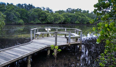 Walk On Water Walking Track - Sunshine Coast Guide 0