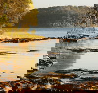 Wangi Wangi - Sunshine Coast Guide