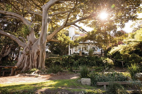 Wendy Whiteley's Secret Garden - Sunshine Coast Guide 0
