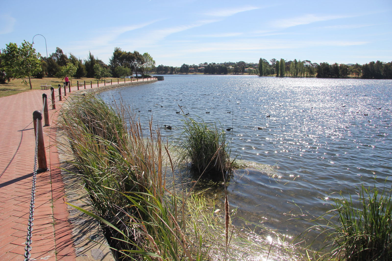 Harrison ACT Sunshine Coast Guide
