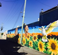 Art Trails in the Moree Plains - Sunshine Coast Guide