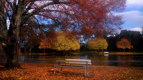 Bells Parade Reserve - Sunshine Coast Guide 0