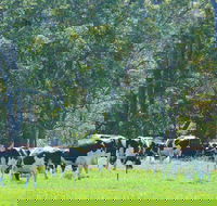 Boyanup - Sunshine Coast Guide
