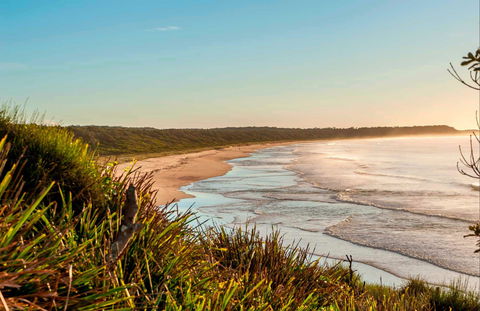 Burrawang Track - Conjola Beach To Buckleys Point - Sunshine Coast Guide 0