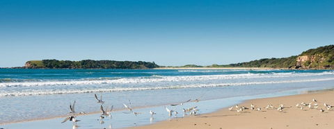 Chinamans Beach Evans Head - Sunshine Coast Guide 2