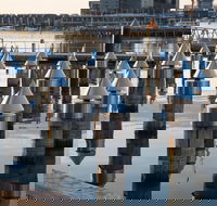 Docklands - Sunshine Coast Guide