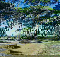 Dumbleyung - Sunshine Coast Guide