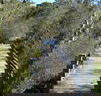 Falcon Crescent Link Track - Sunshine Coast Guide