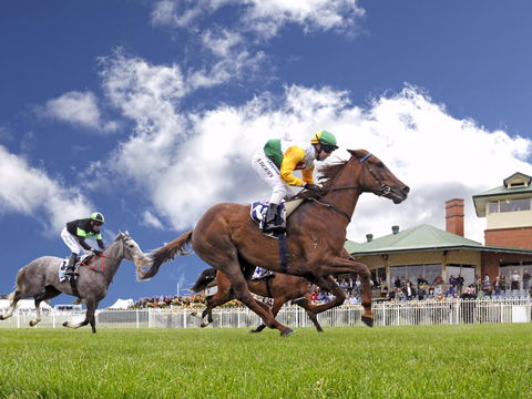 Goulburn And District Racing Club - Sunshine Coast Guide 0