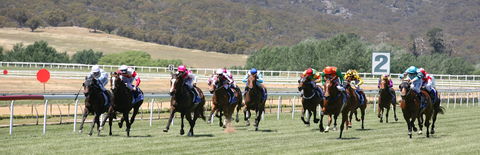 Goulburn And District Racing Club - Sunshine Coast Guide 1