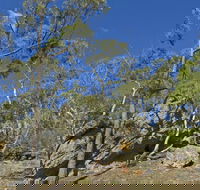 Green track - Sunshine Coast Guide