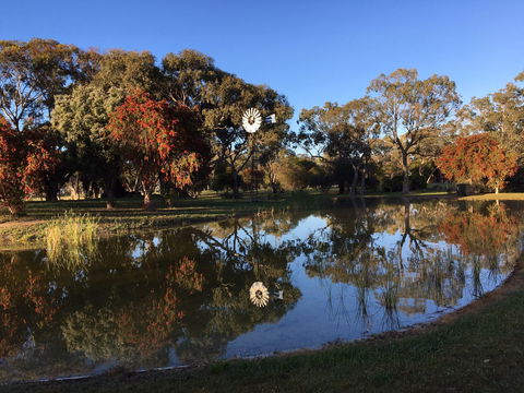 Jubilee Park - Sunshine Coast Guide 0