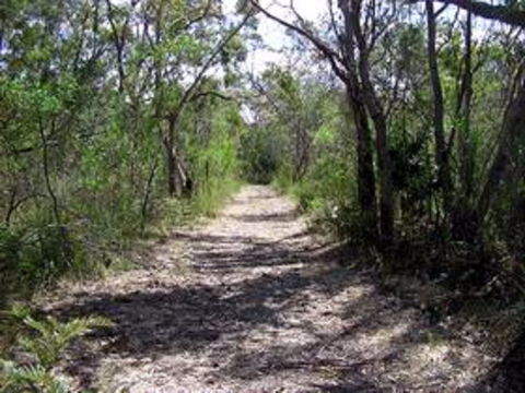 Lanky's Walk - Sunshine Coast Guide 0