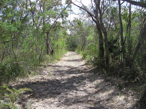 Lanky's Walk - Sunshine Coast Guide 2