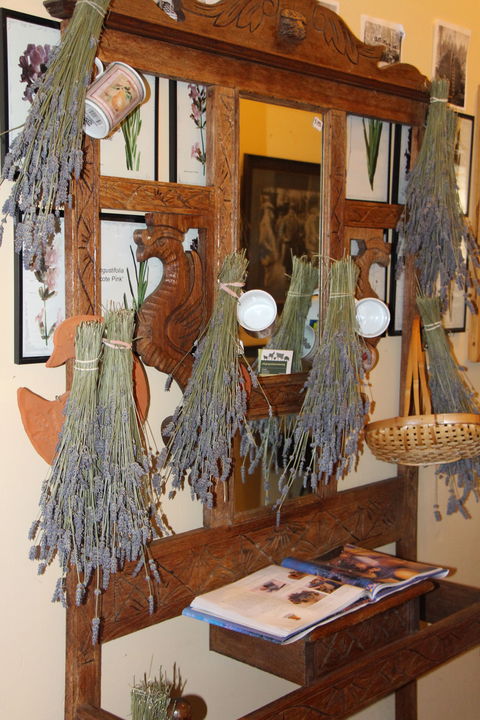 Lavender House In Railway Park - Sunshine Coast Guide 1