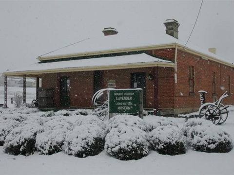 Lavender House In Railway Park - Sunshine Coast Guide 2