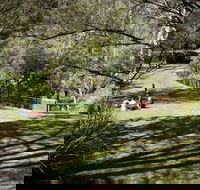 Leura Cascades picnic area - Sunshine Coast Guide