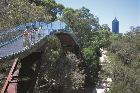 Lotterywest Federation Walkway - Kings Park - Sunshine Coast Guide 1