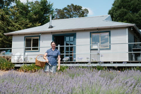 Nannup Lavender Farm - Sunshine Coast Guide 1