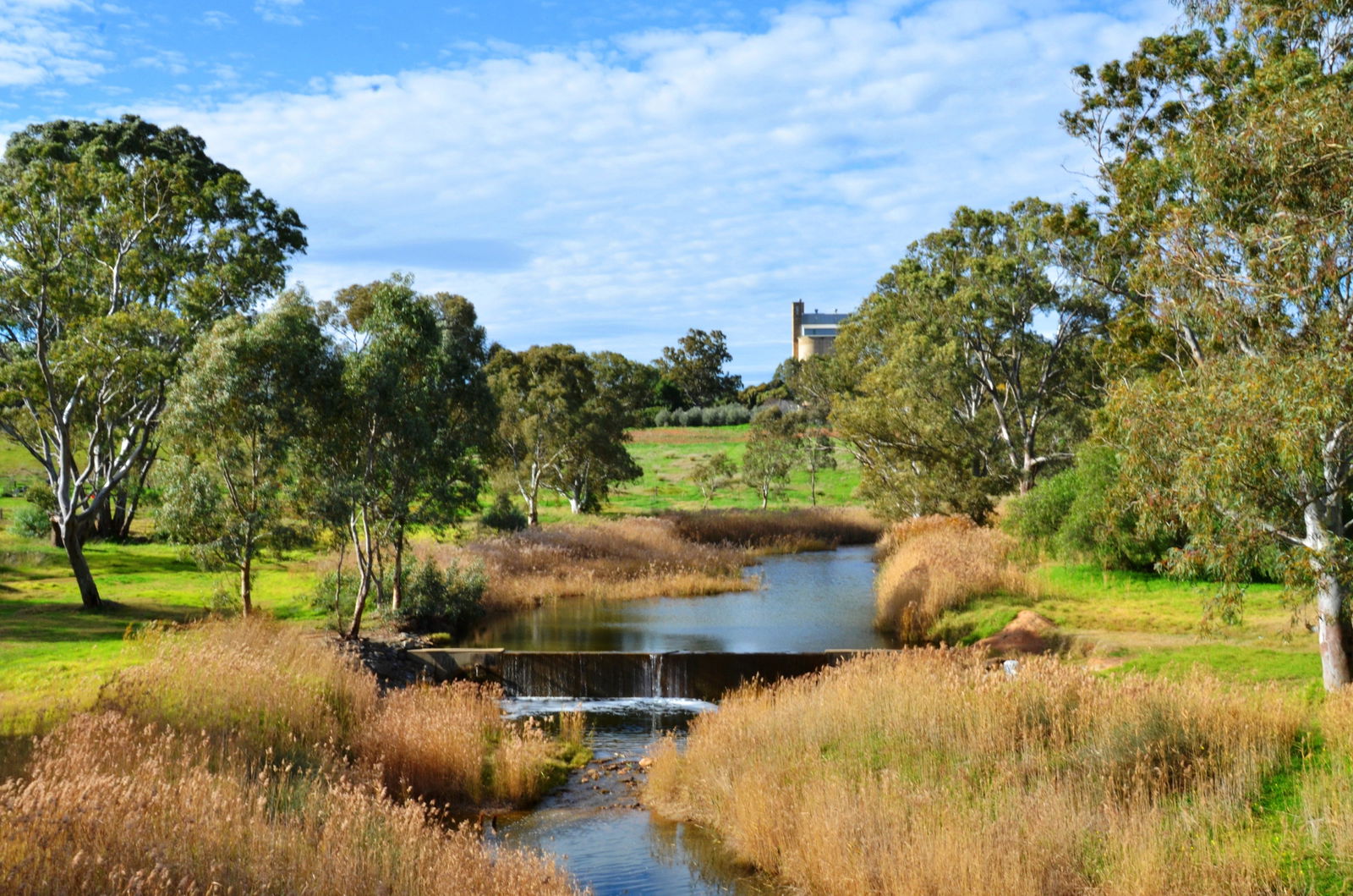 Salter Springs ACT Sunshine Coast Guide