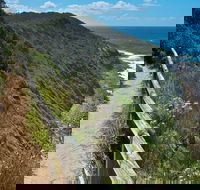 The Coast Walking Track - Sunshine Coast Guide