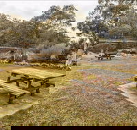 Thredbo River picnic area - Sunshine Coast Guide