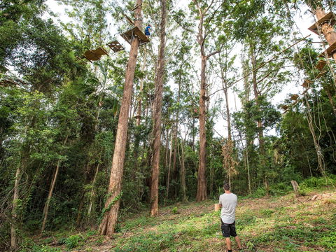 TreeTop Challenge - Sunshine Coast - Sunshine Coast Guide 1