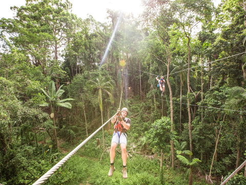 TreeTop Challenge - Sunshine Coast - Sunshine Coast Guide 2