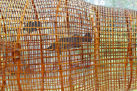 Wagirra Trail And Yindyamarra Sculpture Walk - Sunshine Coast Guide 2