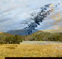 Weddin Mountains National Park - Sunshine Coast Guide