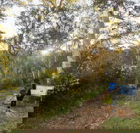 Yarrangobilly Caves  River walk - Sunshine Coast Guide