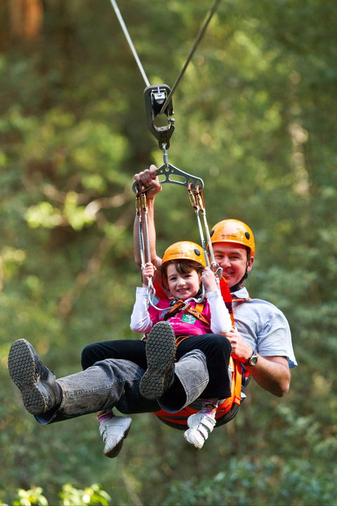 Zipline At Illawarra Fly - Sunshine Coast Guide 0