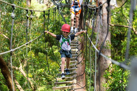 Zipline At Illawarra Fly - Sunshine Coast Guide 1