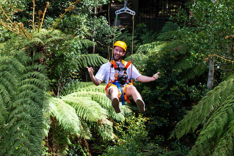 Zipline At Illawarra Fly - Sunshine Coast Guide 2