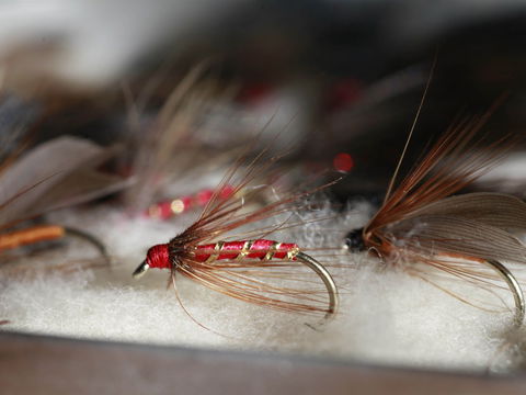 Australian Fly Fishing Museum - Sunshine Coast Guide 0