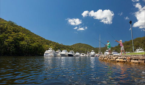 Bobbin Head - Sunshine Coast Guide 0