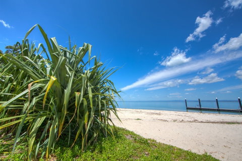 Bongaree Walkabout - Sunshine Coast Guide 0