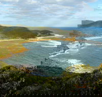 Bullimah Spur Track - Sunshine Coast Guide