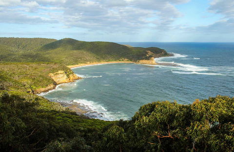 Bullimah Spur Track - Sunshine Coast Guide 0