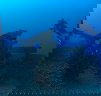 Cementco Dive Site - Sunshine Coast Guide