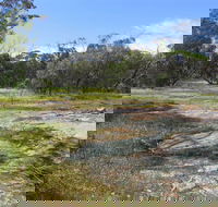 Christmas Rock Walk - Sunshine Coast Guide