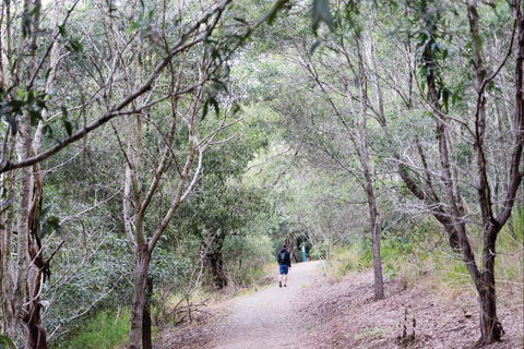 D'Aguilar National Park - Sunshine Coast Guide 2
