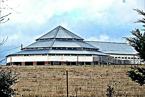 Deeargee Woolshed - Sunshine Coast Guide 0