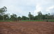 Durack Memorial - thumb 2