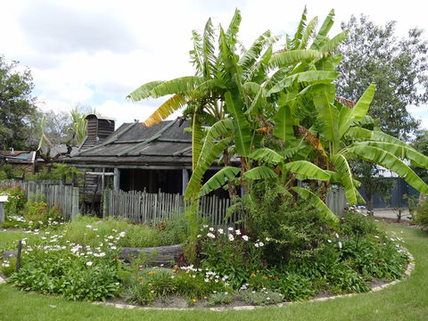 Gold Coast Historical Museum Inc - Sunshine Coast Guide 0